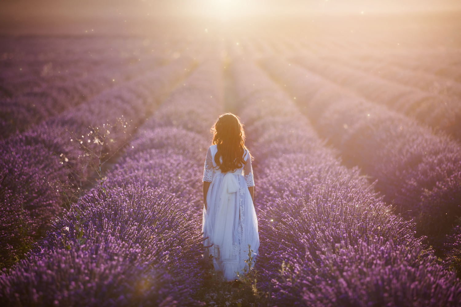 Chica en campo de lavanda de espaldas